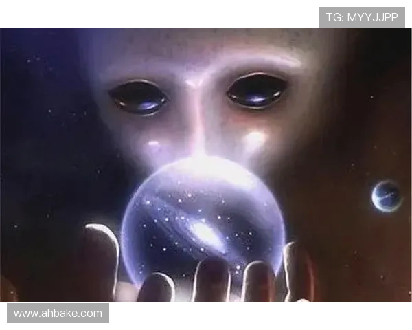 火炬木第二季探秘新世界神秘力量与宿命对决揭开人类与异界的终极较量